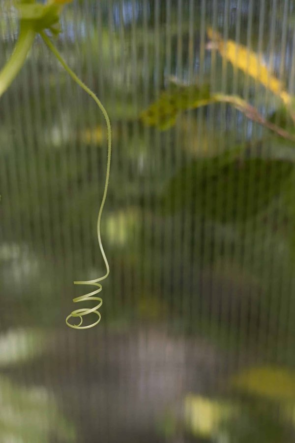 What's the Latest in Adaptive Virtual Reality Controllers for Enhanced Gaming Immersion?